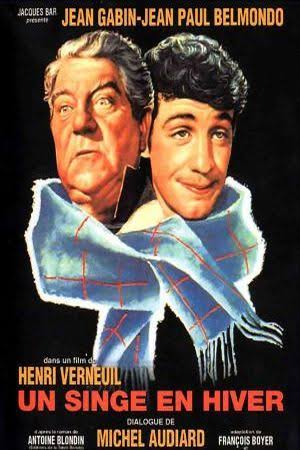 un_singe_en_hiver